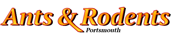 Portsmouth Ant Exterminator & Rodent Control Company Logo